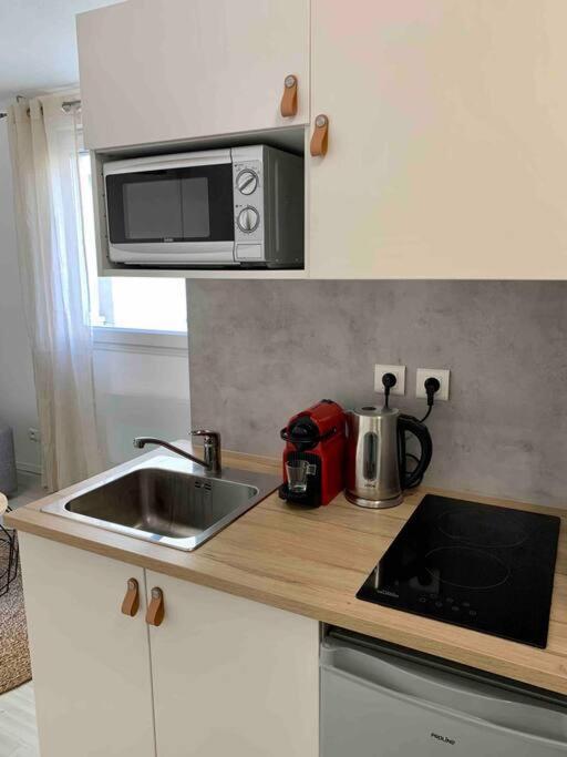 Studio Le Pensier - Monplaisir Lyon Bagian luar foto