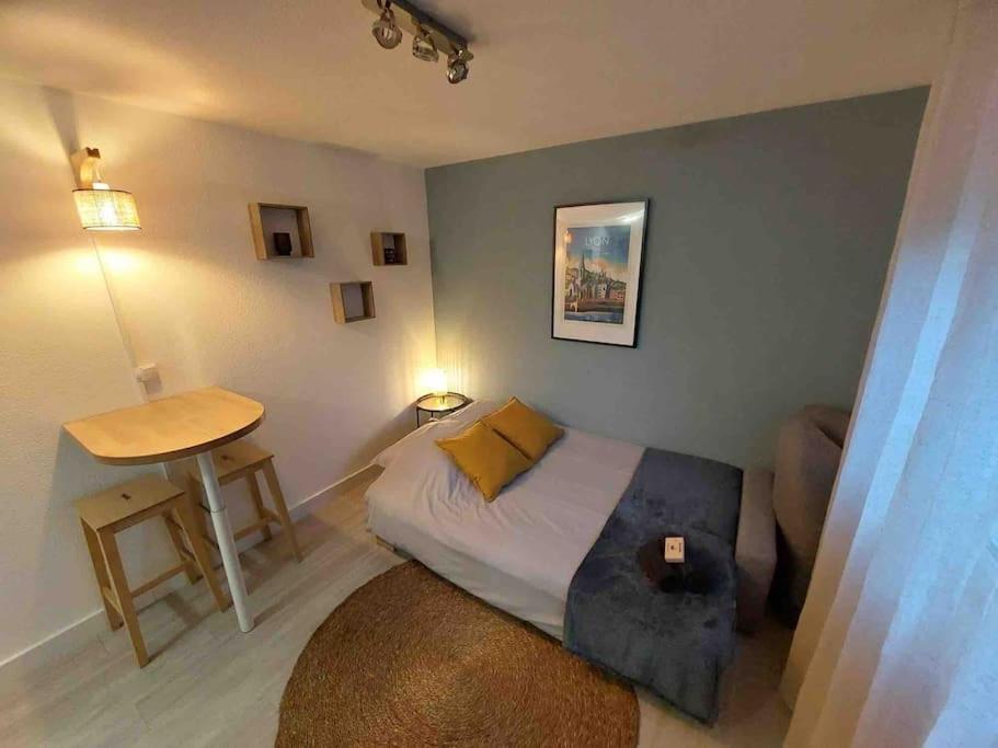 Studio Le Pensier - Monplaisir Lyon Bagian luar foto